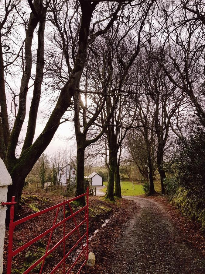Willowfarmhouse Milford Bagian luar foto