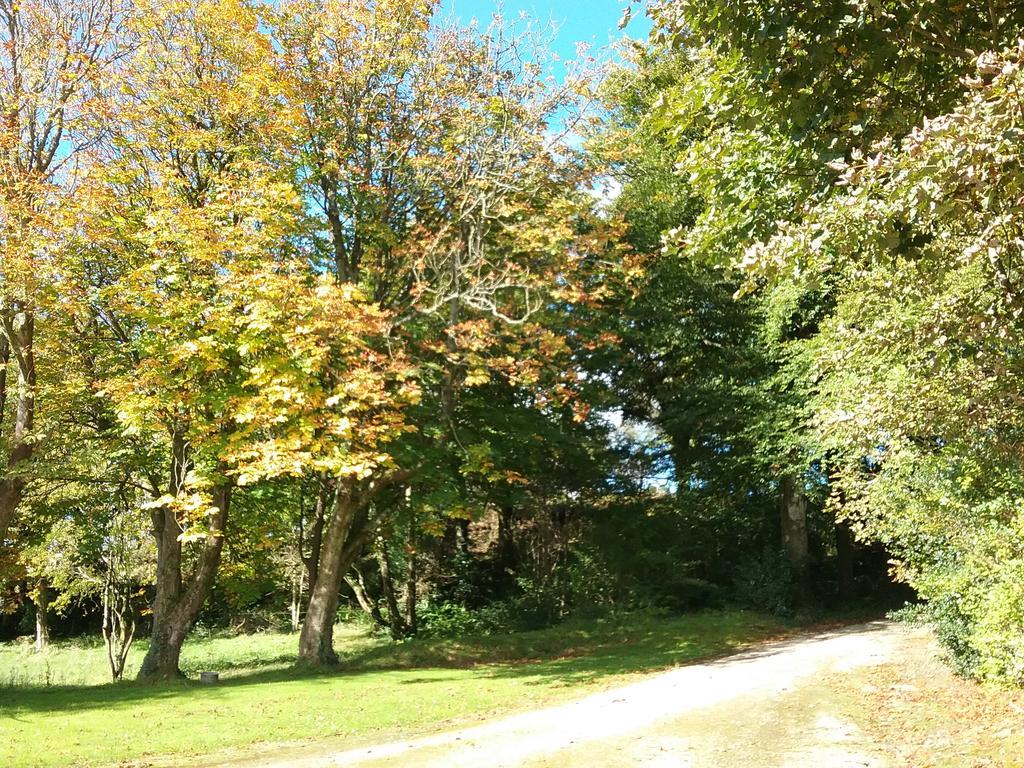 Willowfarmhouse Milford Bagian luar foto